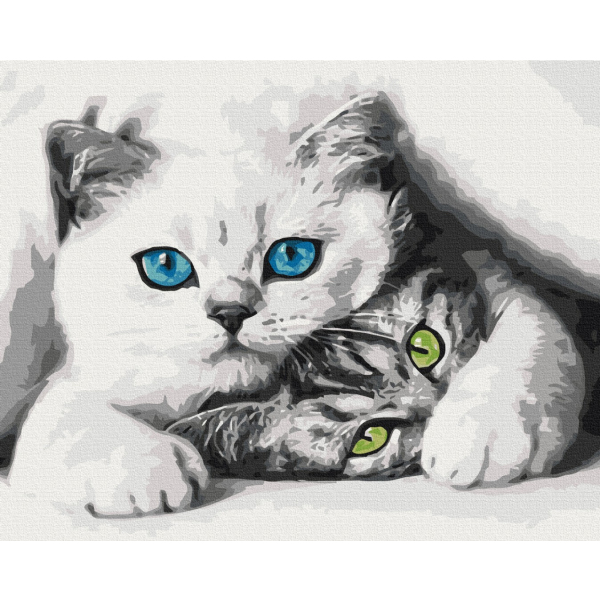 Картина по номерам Тварини, птахи та риби - Муркотики