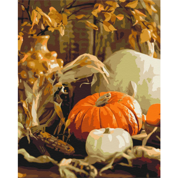 Картина по номерам Натюрморти - Гарбузовий натюрморт