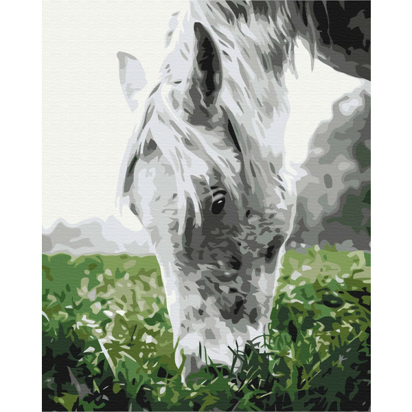 Картина по номерам Тварини, птахи та риби - Cіра конячка