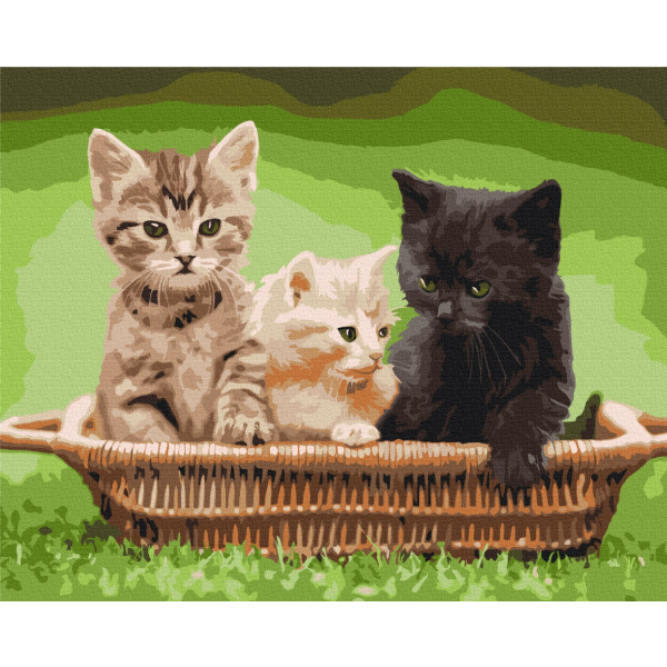 Картина по номерам Тварини, птахи та риби - Котята в корзине