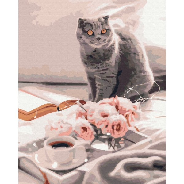 Картина по номерам Тварини, птахи та риби - Улюблений британець