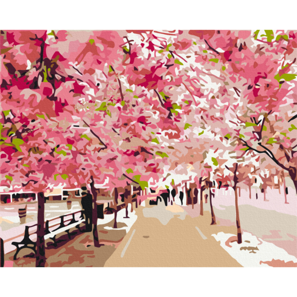 Картина по номерам Природа - Дорога сакур