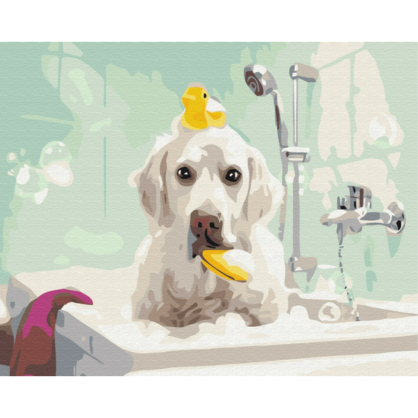 Картина по номерам Тварини, птахи та риби - Улюблений чистюля