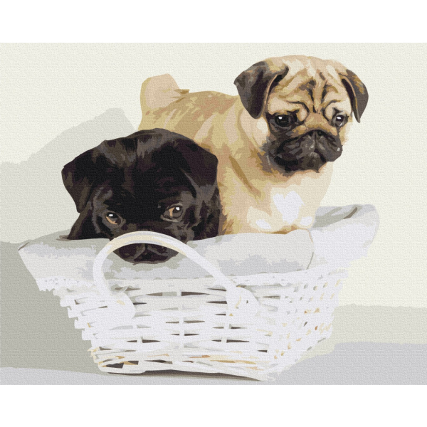 Картина по номерам Тварини, птахи та риби - Friends in the basket