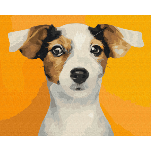Картина по номерам Тварини, птахи та риби - Портрет улюбленого песика