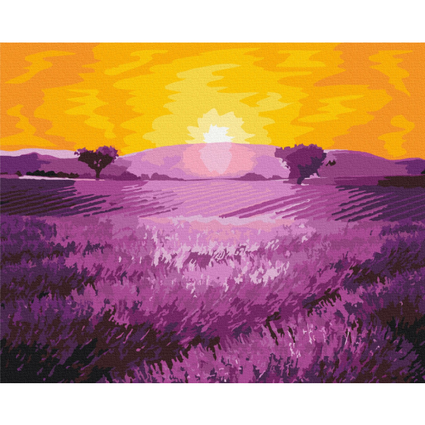 Картина по номерам Природа - Восход солнца над лавандой