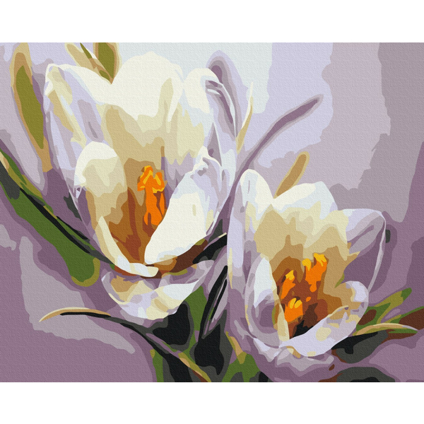 Картина по номерам Квіти - Crocuses
