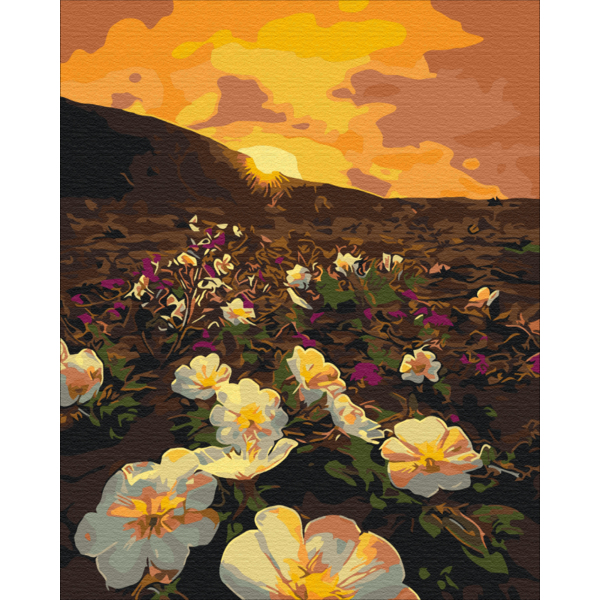 Картина по номерам Квіти - Цветы солнца