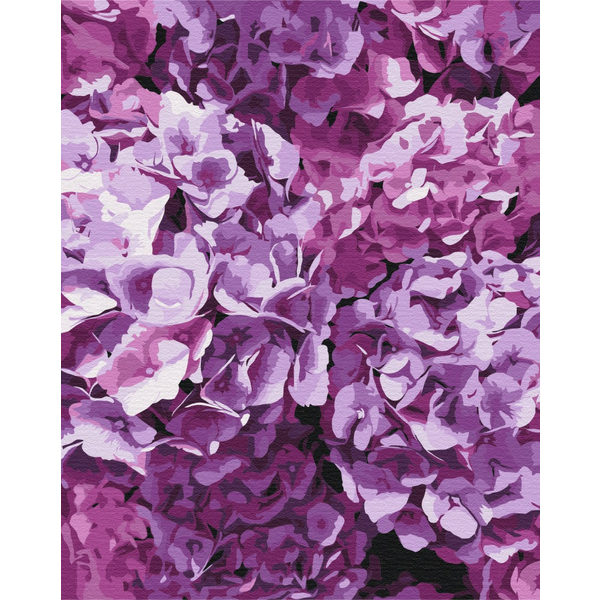 Картина по номерам Квіти - Красота гортензий