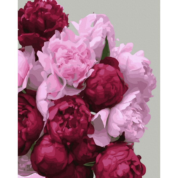 Картина по номерам Квіти - Їх величність піони