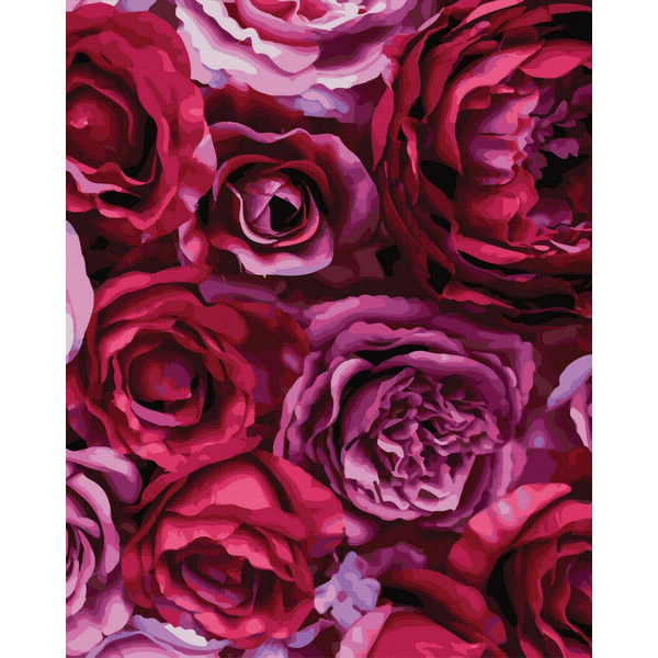 Картина по номерам Квіти - Піоновидні троянди