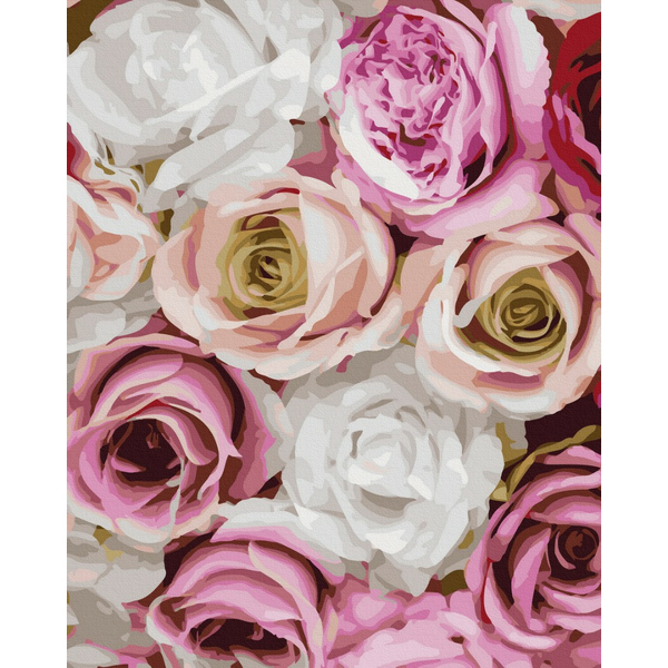 Картина по номерам Квіти - Ніжність троянд