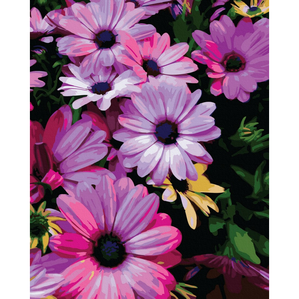 Картина по номерам Квіти - Лілові хризантеми