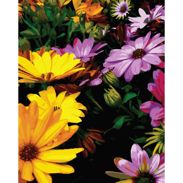 Картина по номерам Квіти - Яскраві хризантеми