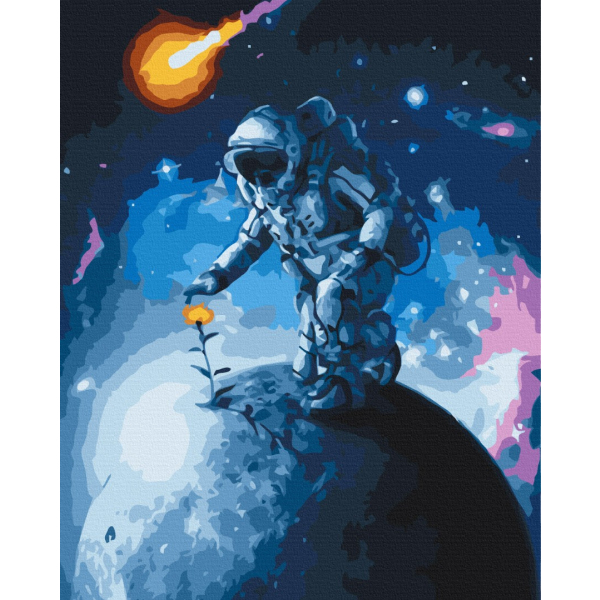 Картина по номерам Космос - Цветы Вселенной
