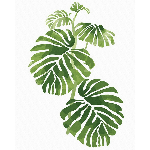 Картина по номерам Квіти - Листя монстери