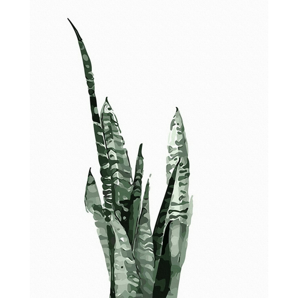 Картина по номерам Квіти - Сансевієрія аквареллю