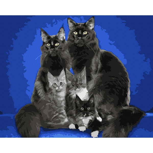 Картина по номерам Тварини, птахи та риби - Сім'я мейн-кунів