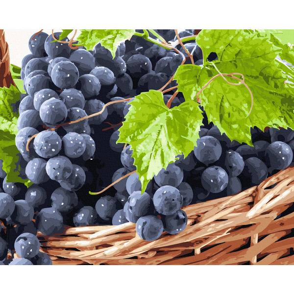 Картина по номерам Натюрморти - Дари літа