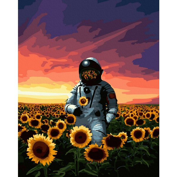 Картина по номерам Космос - Поле в космосі