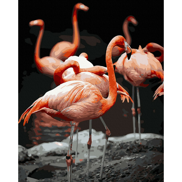 Картина по номерам Тварини, птахи та риби - Фламінго на фоні савани