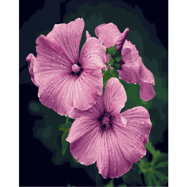 Картина по номерам Квіти - Петунії