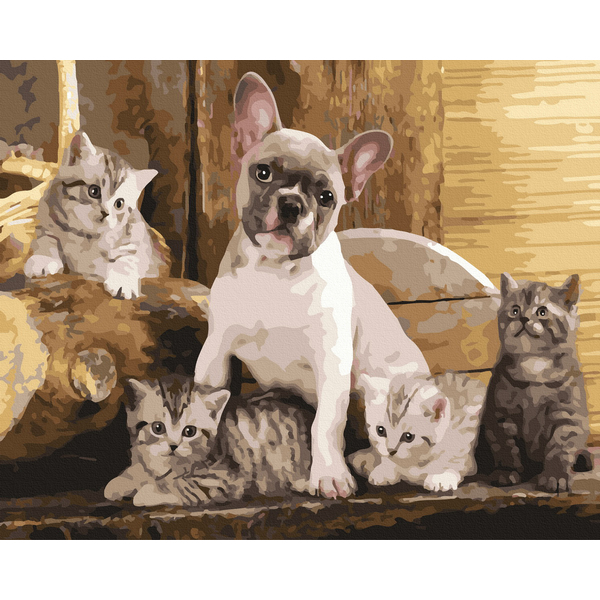 Картина по номерам Тварини, птахи та риби - На захисті хвостатих