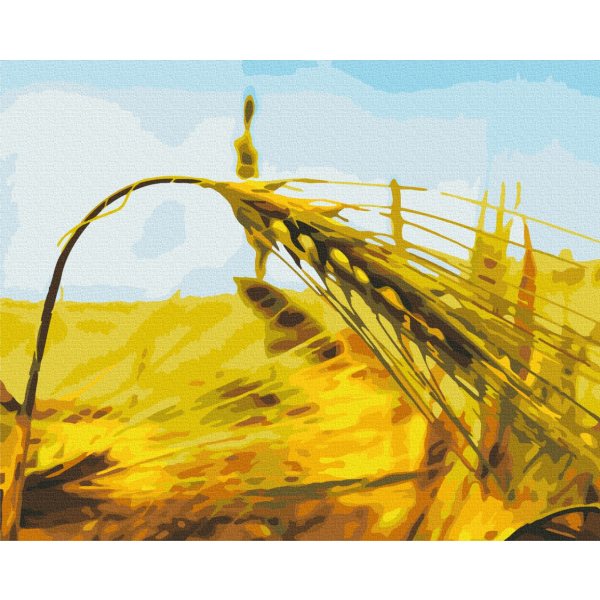 Картина по номерам Українські міста та ландшафти - Ржаной колос