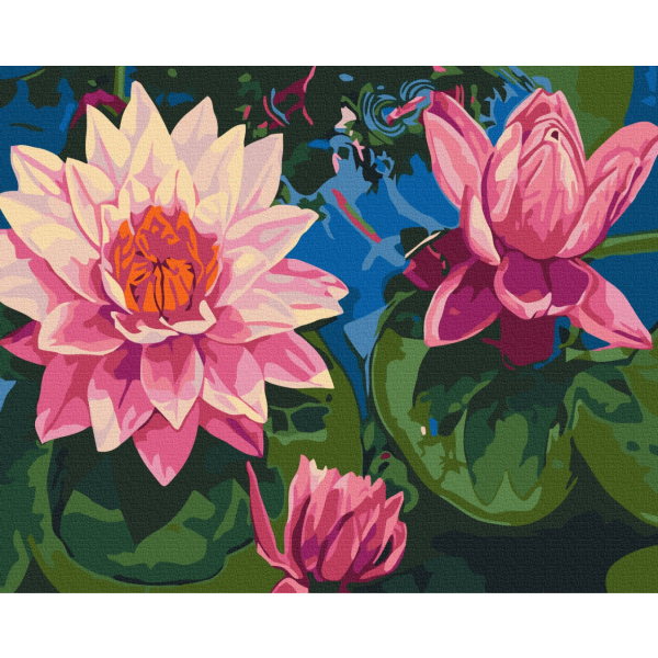 Картина по номерам Квіти - Водные кувшинки
