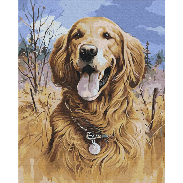 Картина по номерам Абстракції - Кращий друг людини