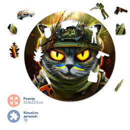 Котик разведчик ©Марианна Пащук