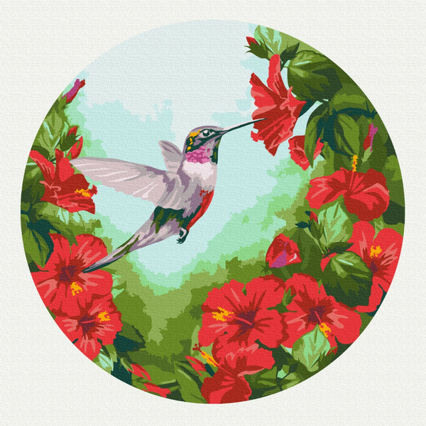 40 см - Колібрі (Розмір L)