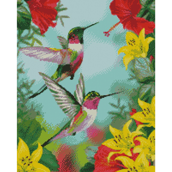 Алмазна мозаїка 40х50 - Тропічні колібрі