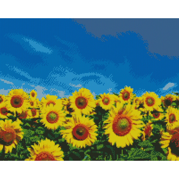 Алмазна мозаїка 40х50 - Соняшникове поле
