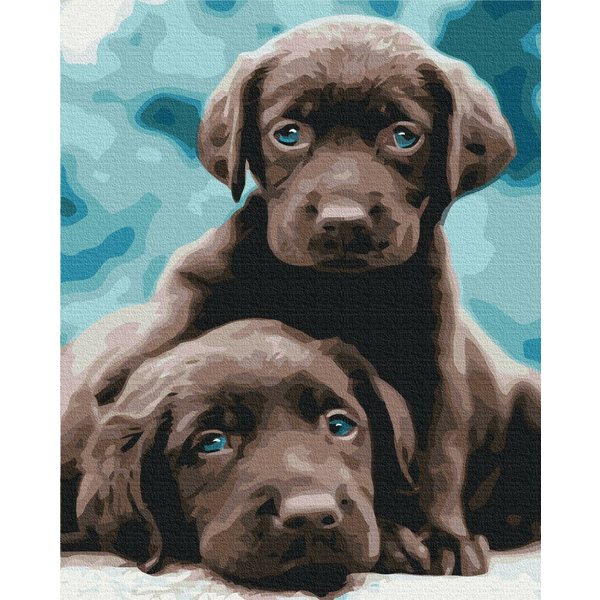 Картина по номерам Преміум картини - Блакитноокі цуценята