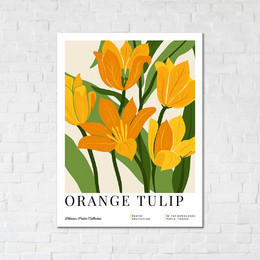 Orange tulips