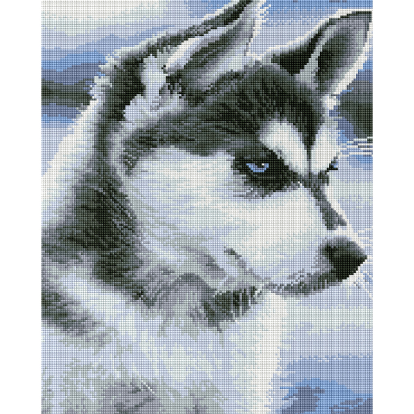 Алмазна мозаїка 40х50 - Щеня Хаскі