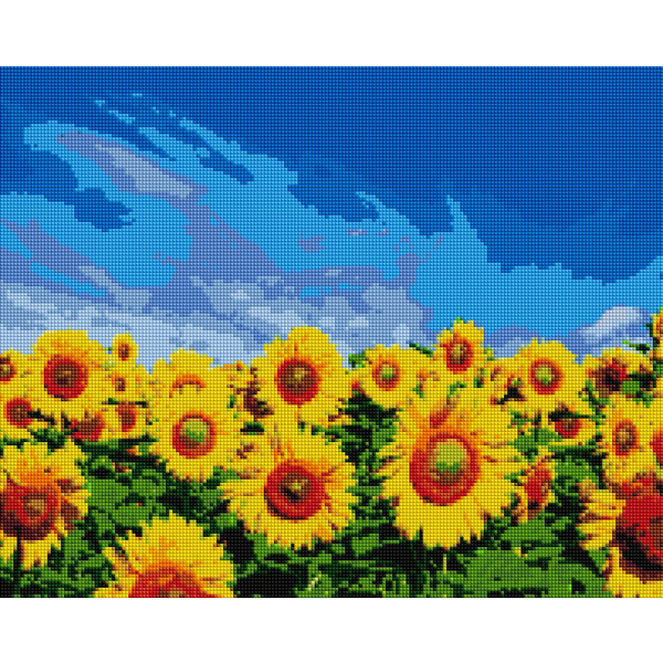 Алмазна мозаїка 40х50 - Поле подсолнухов
