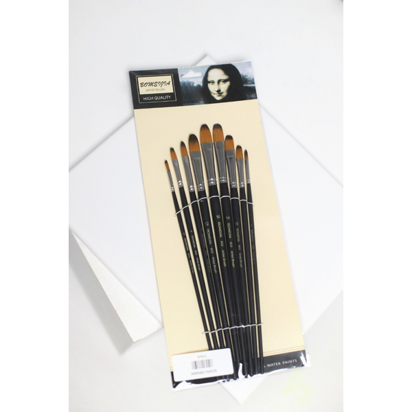 Пензлі для малювання (281) - Набір професійних нейлонових пензликів 9 шт. (чорні з срібними вставками)