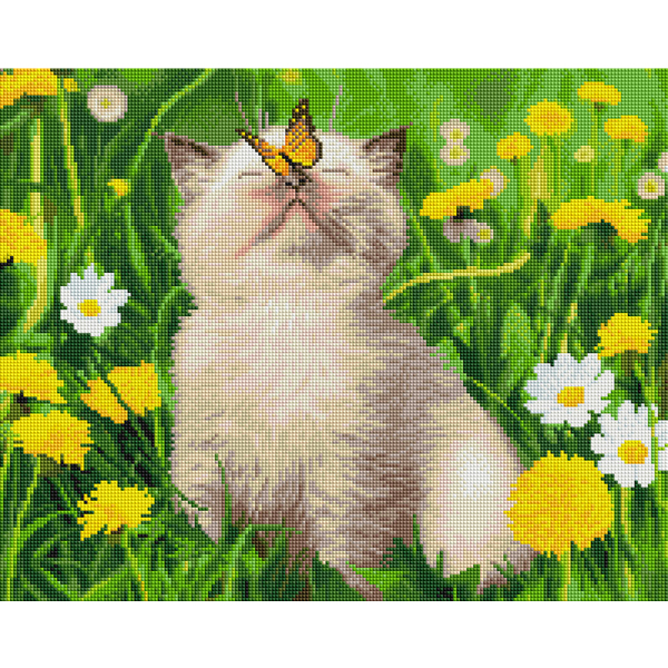 Алмазна мозаїка 40х50 - Котик з метеликом на носі