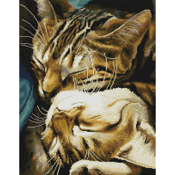 Алмазна мозаїка 40х50 - Сплячі котики