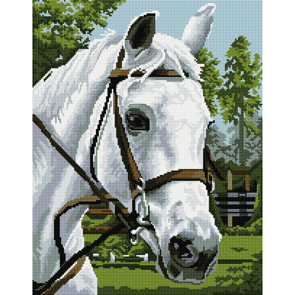 Алмазна мозаїка 40х50 - Красень Буцифал