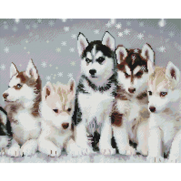 Алмазна мозаїка 40х50 - Дружні хаскі