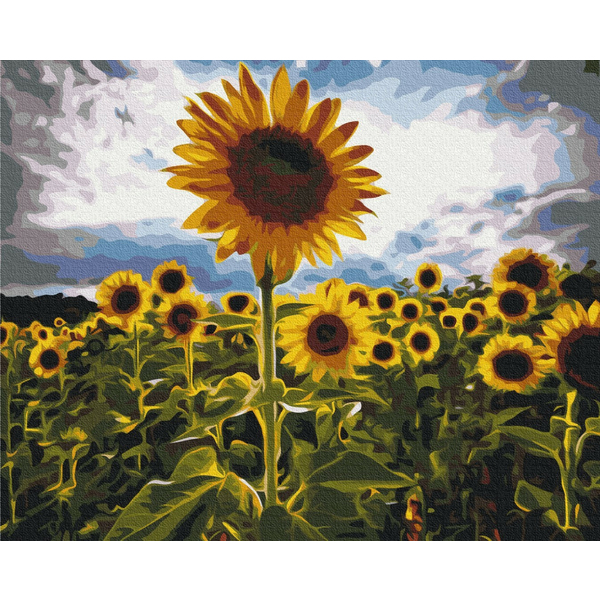 Картина по номерам Преміум картини - Вуличка у квітах