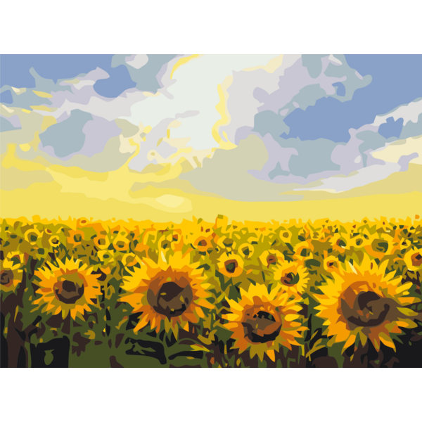 Картина по номерам Преміум картини - Поле соняшників