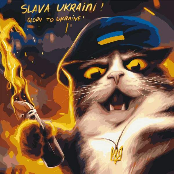 Картина по номерам Преміум картини - Котик повстанець ©Маріанна Пащук