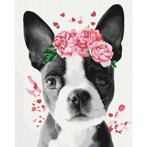 Картина по номерам Тварини, птахи та риби - Бостон терьер в веночке