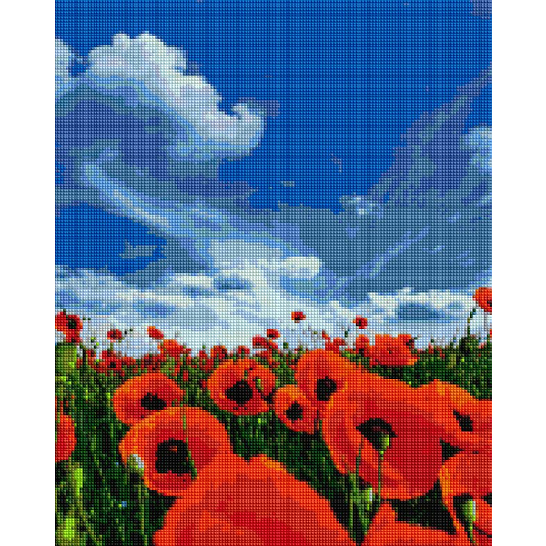 Алмазна мозаїка 40х50 - Макове поле