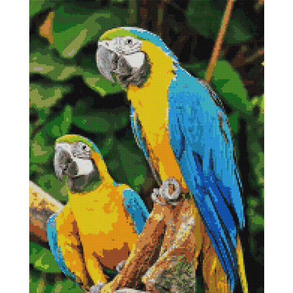 Алмазна мозаїка 40х50 - Папуги Ара