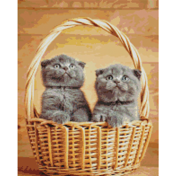 Алмазна мозаїка 40х50 - Британські кошенята в корзинці